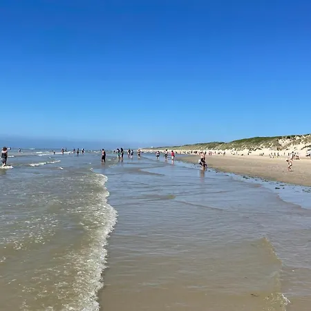 Appartement Vue Au Pied De La De *